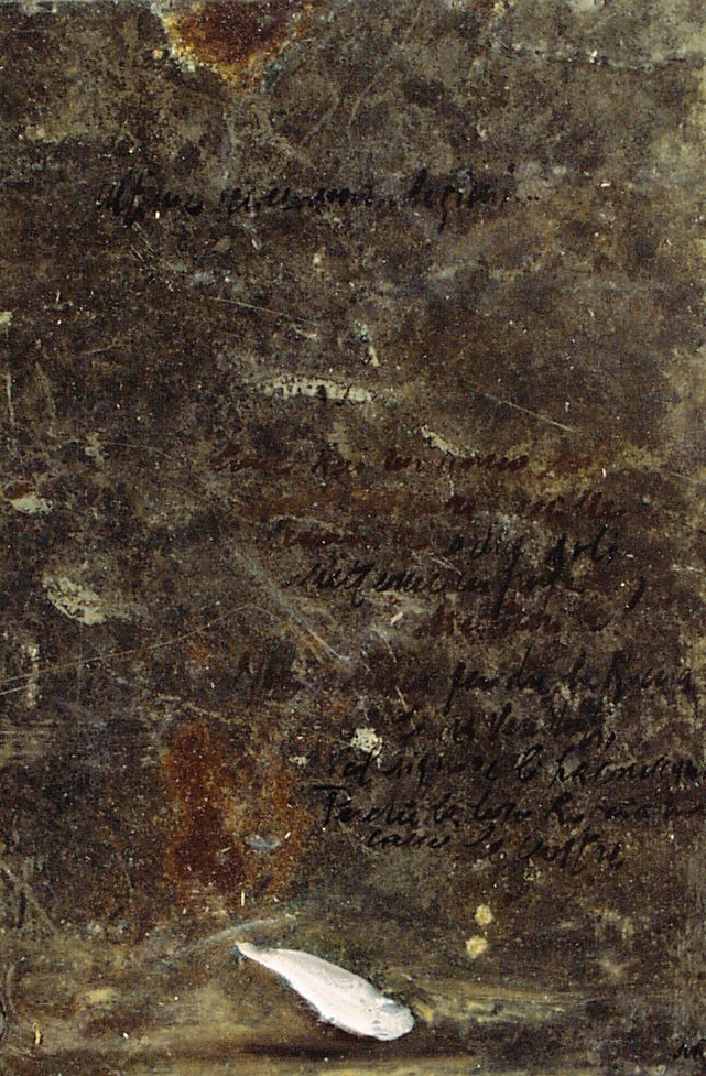 Petalo bianco, olio su lamiera su legno, 30x20 cm, 2000, <br>Collezione Privata